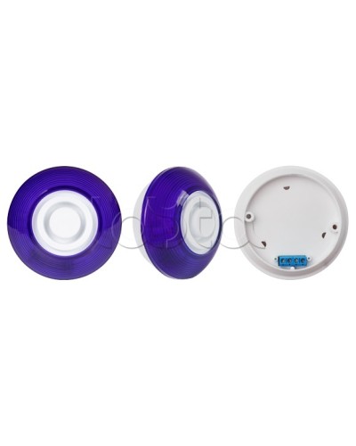 Оповещатель комбинированный SLT Марс 12-КП (строб, син) в Жуковском Оповещатели Pintop.ru